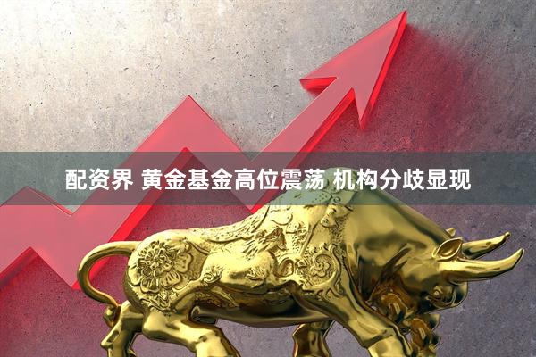 配资界 黄金基金高位震荡 机构分歧显现