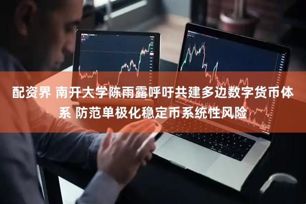 配资界 南开大学陈雨露呼吁共建多边数字货币体系 防范单极化稳定币系统性风险