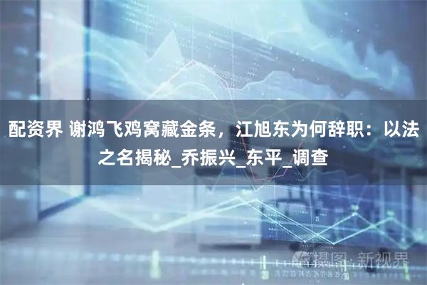 配资界 谢鸿飞鸡窝藏金条，江旭东为何辞职：以法之名揭秘_乔振兴_东平_调查